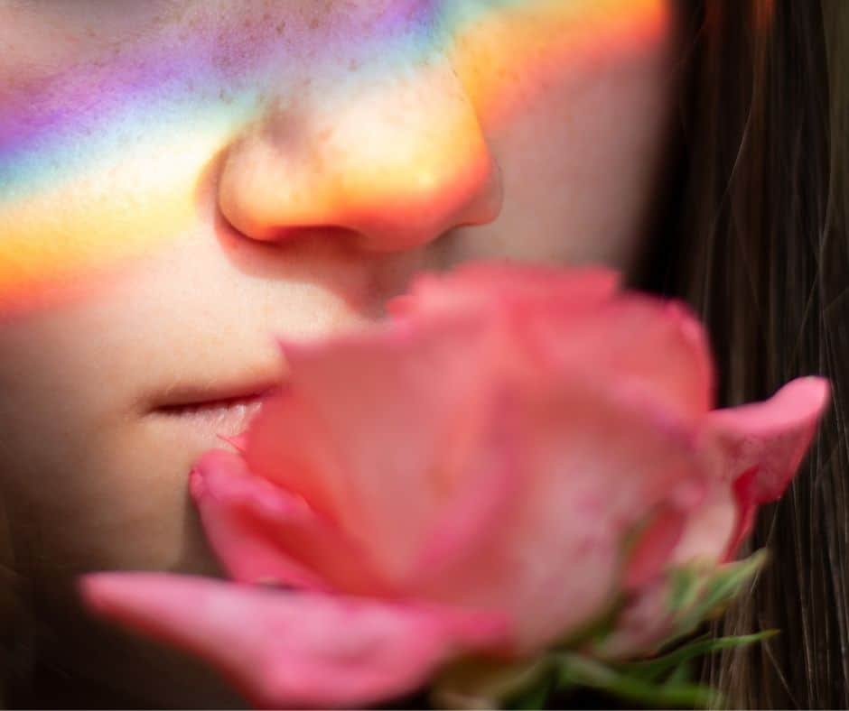 nose with rainbow smelling a rose