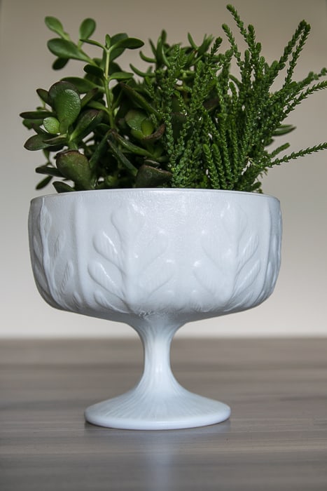 picture showing white tall pressed glass bowl with succulents