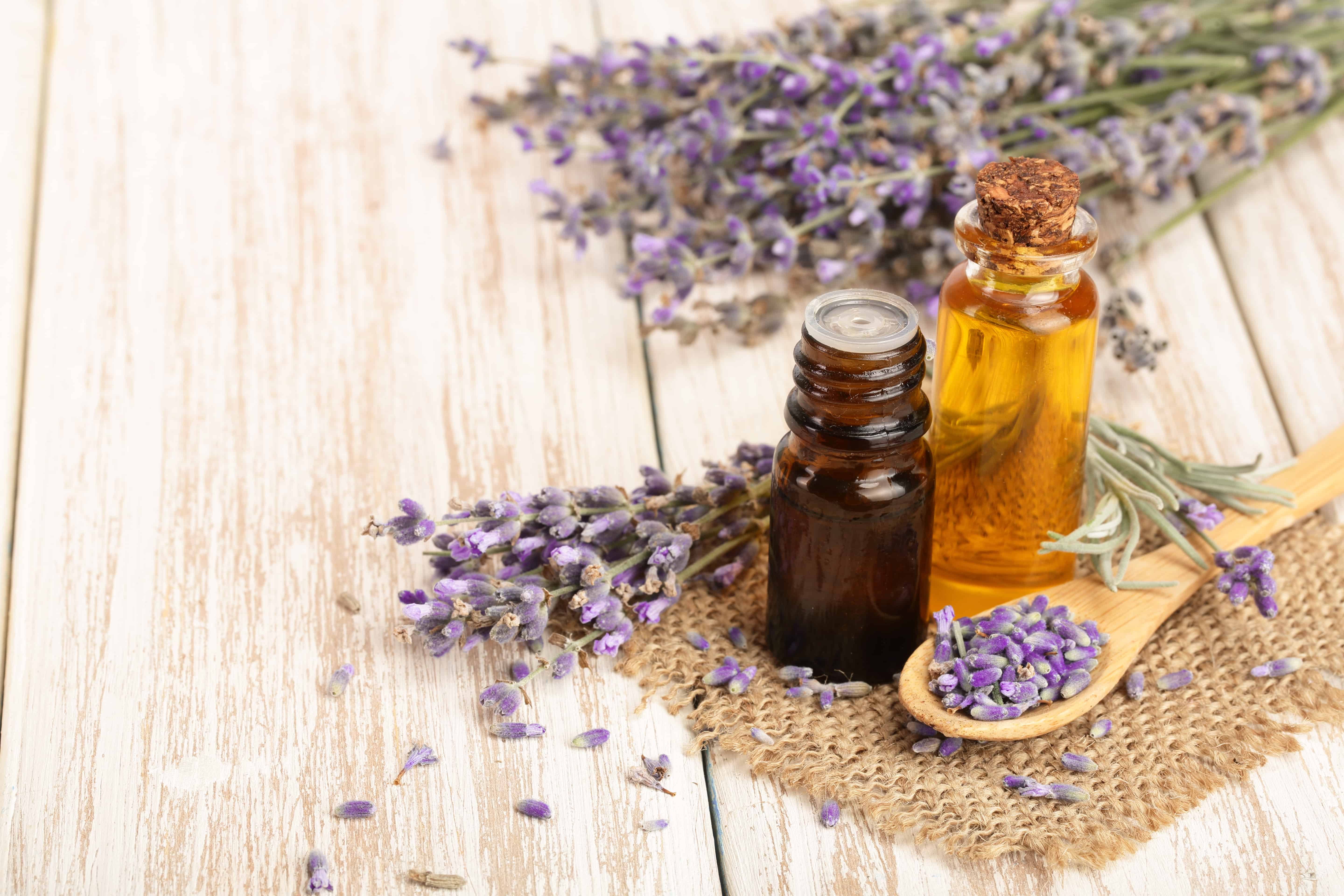 Image of essential oil bottle and lavender for How to buy essential oils