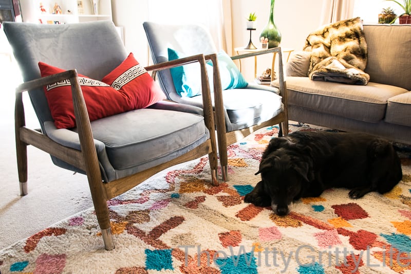 My favorite mid century modern Frisco style living room chairs in natural wood and light blue velvet