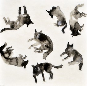 watercolor painting of dogs in black and white