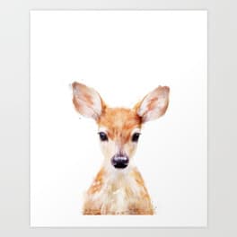 picture of a little deer in front of a white background