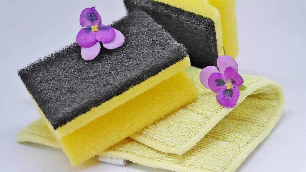 sponges and rags for cleaning
