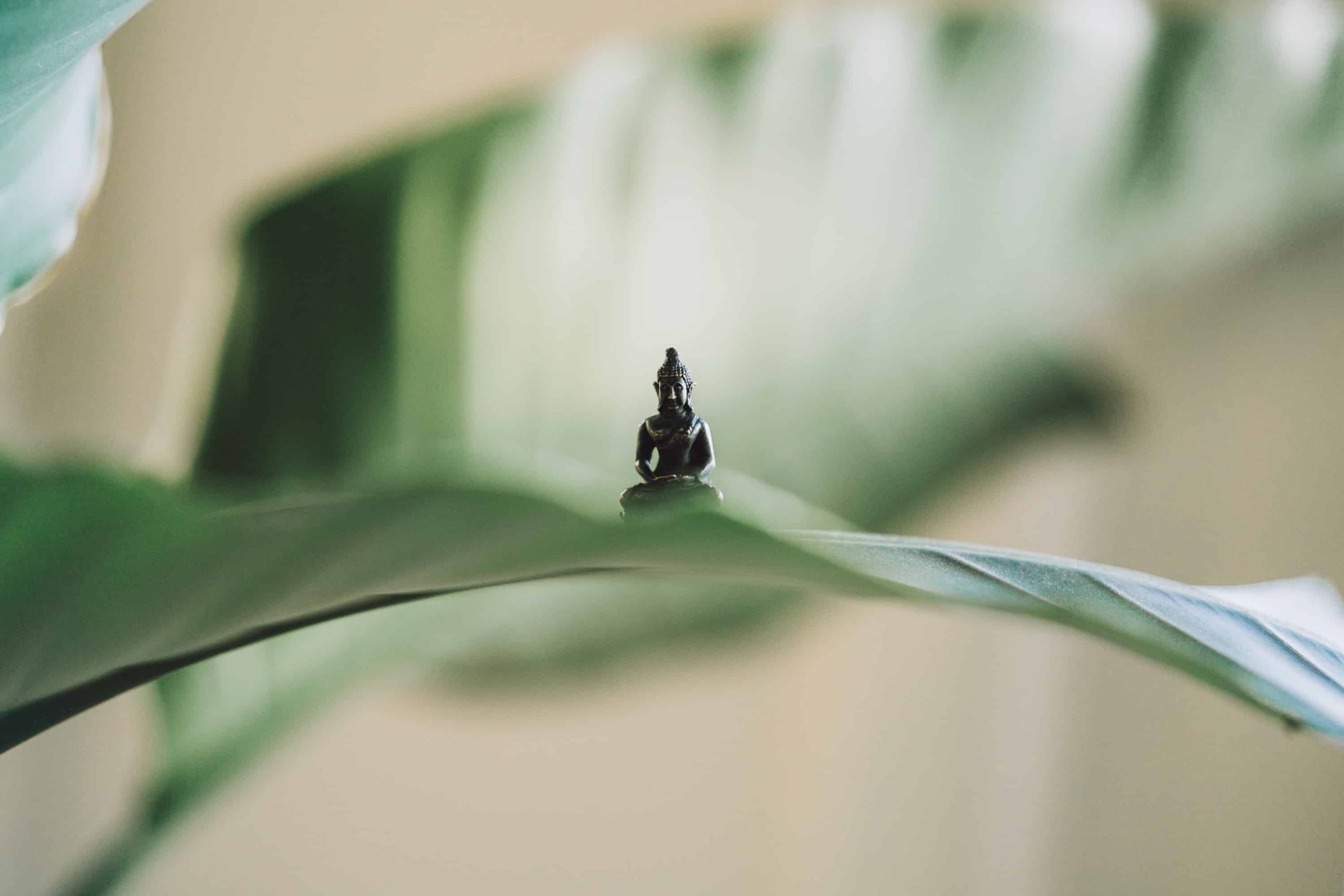 tiny buddha figure surrounded by plants