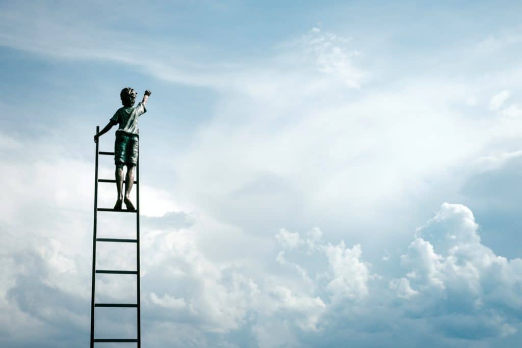 boy on a ladder