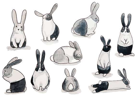 black and white bunny wall paper