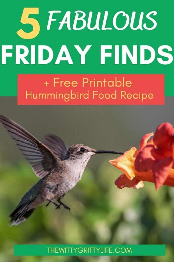 Pinterest image for 5 Fabulous Friday Finds showing image of humming bird 