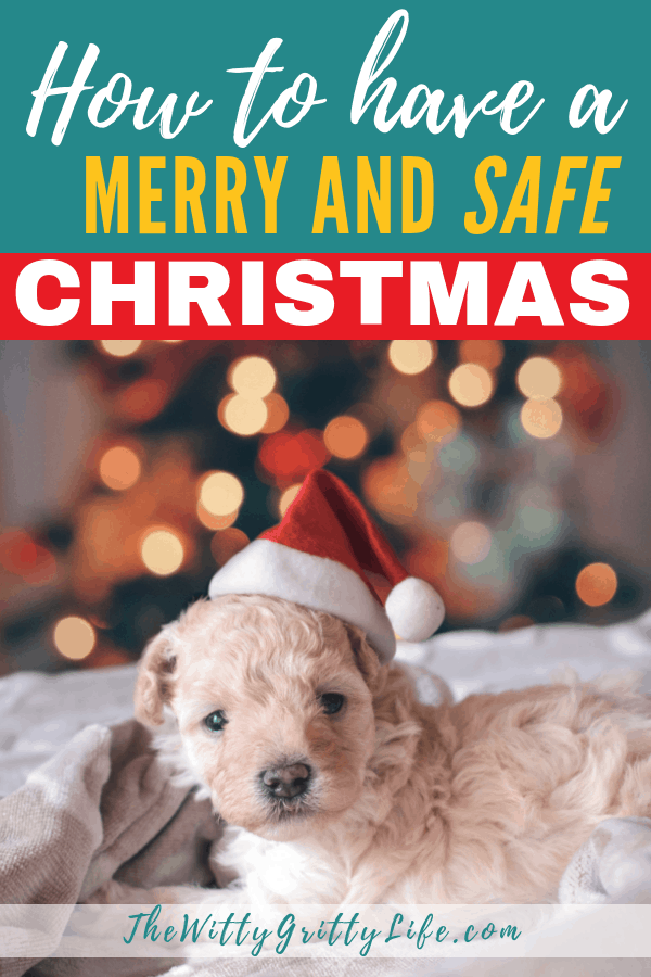 Christmas with all its magic and lights can be a dangerous time. But don't worry, with my simple tips you can make sure that everyone in your house can have a Merry and safe Christmas season without any major mishaps and accidents. Keep pets and kids safe with these steps.