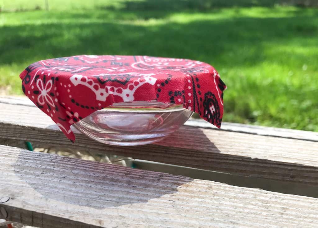 small glass bowl outside covered with a wax bowl cover in red bandana fabric