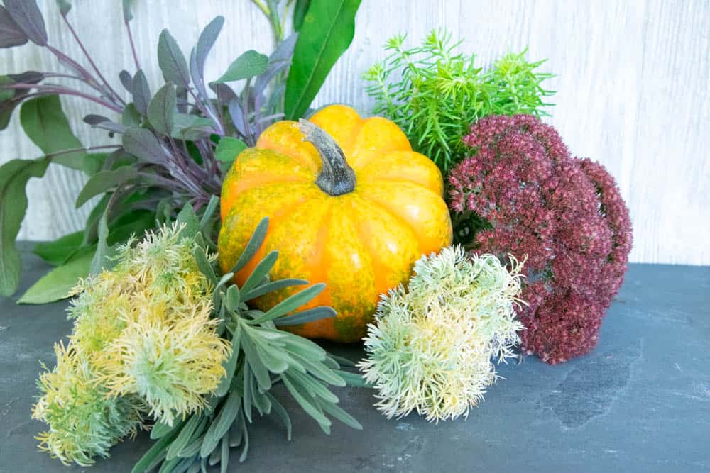 Various fall garden plant clippings, a small pumpkin for diy fall pumpkin decor