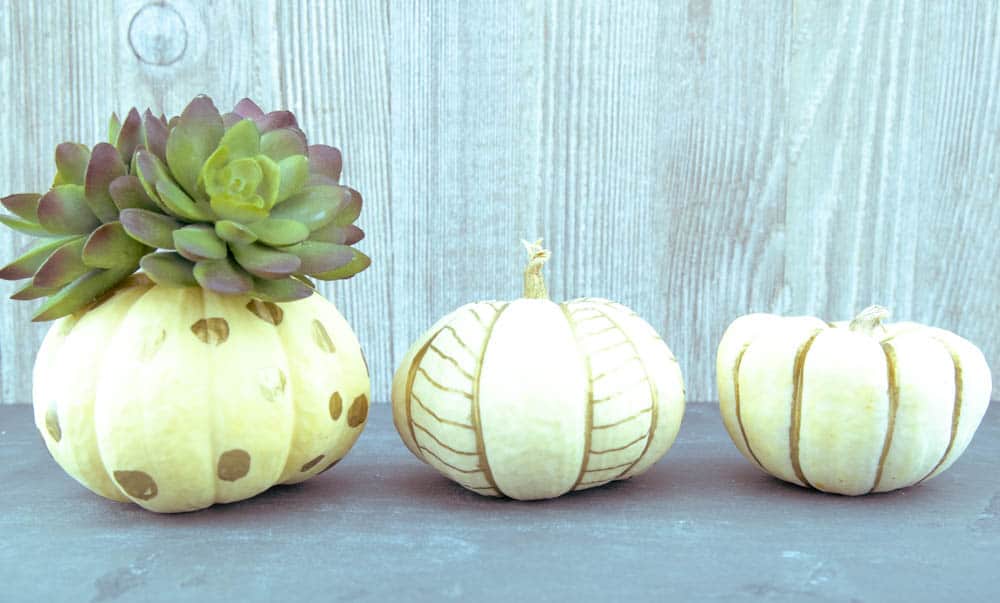 white pumpkins with various gold designs