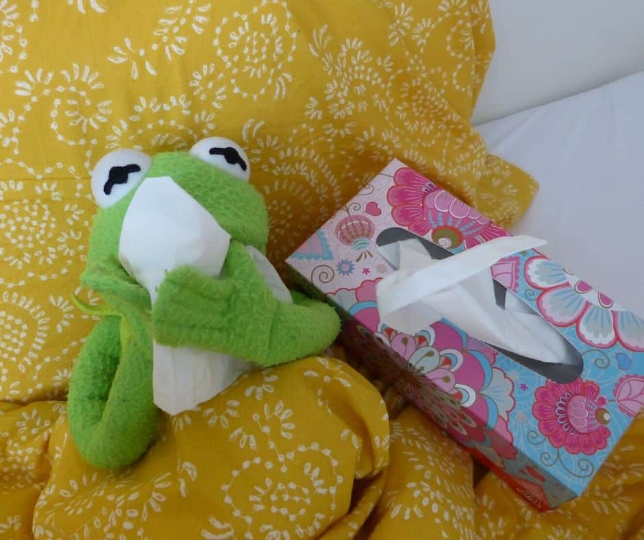 picture of frog puppet sick in bed