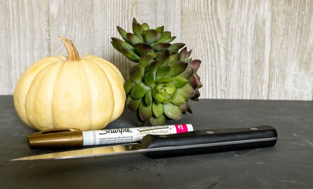 white pumpkin with succulents, knife and pen