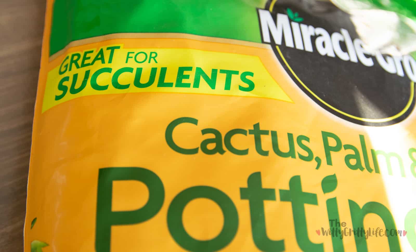 specially formulated planting medium for succulents