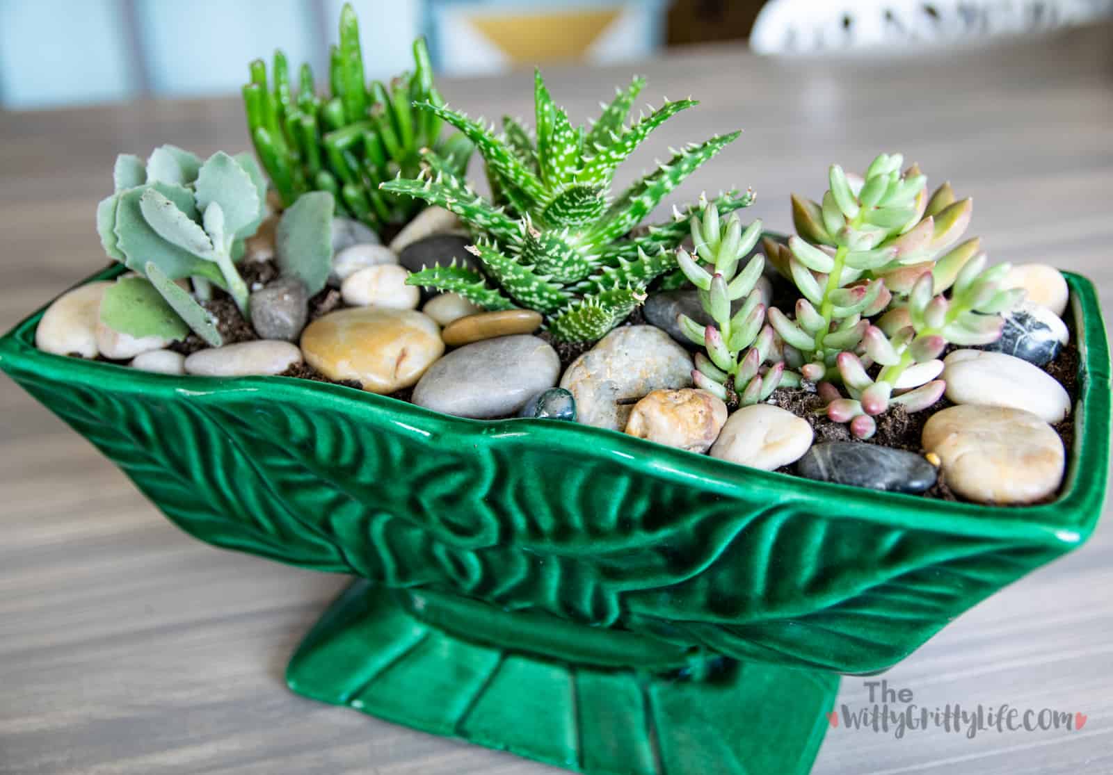 simple green ceramic succulent planter