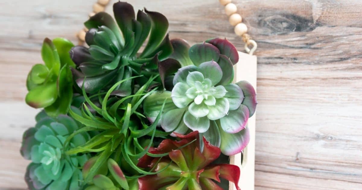 HOW TO CREATE A FAUX SUCCULENT WALL PLANTER IT’S SO EASY