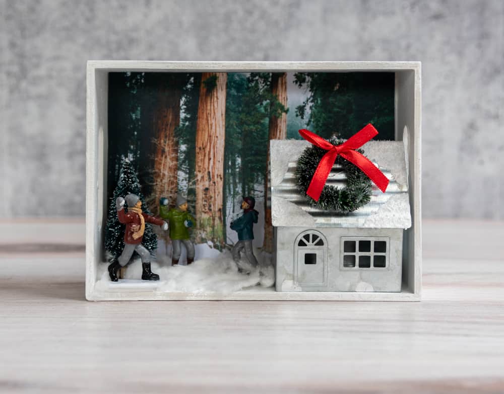 winter shadow box forest scene